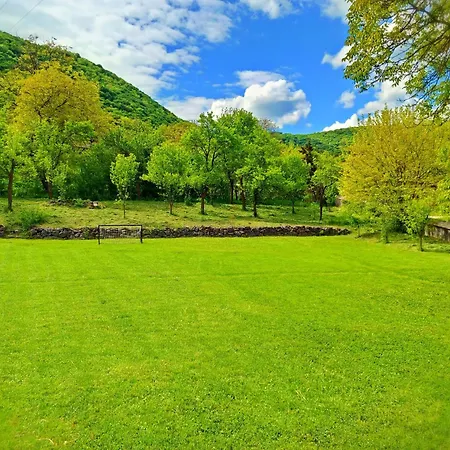 Magdolna Vendeghaz 펜션 *