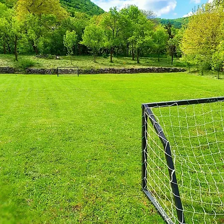 Magdolna Vendeghaz *