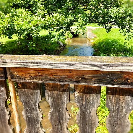 Magdolna Vendeghaz *